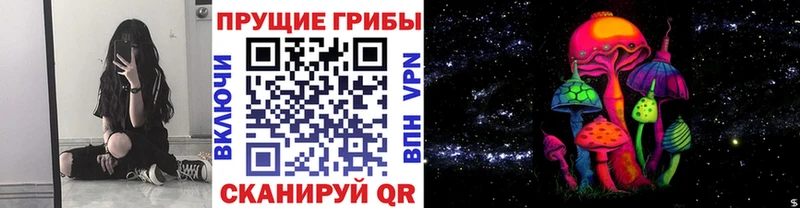 МЕГА маркетплейс  Нерчинск  Псилоцибиновые грибы Magic Shrooms 